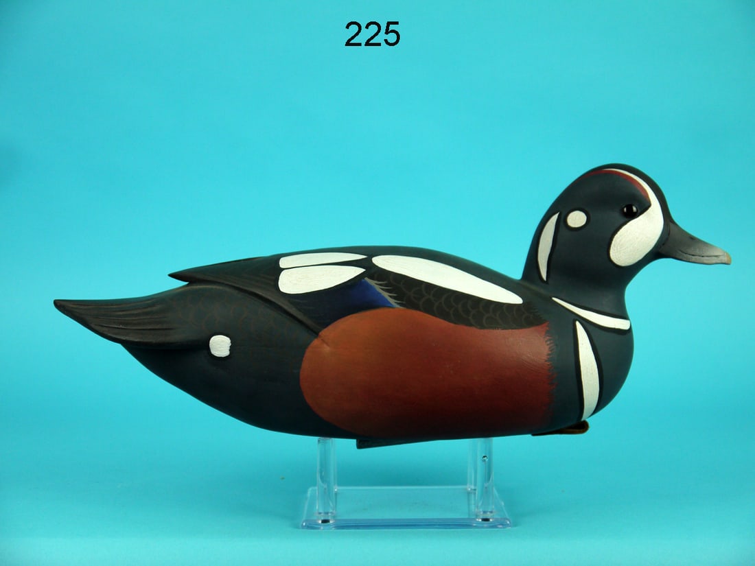 HARLEQUIN DRAKE, J. WOOD (1 of 4)