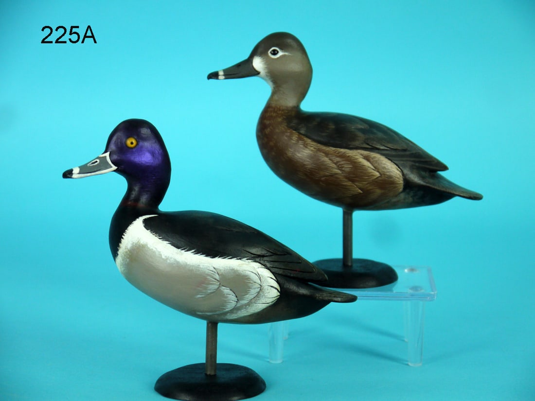 ONE-THIRD SIZE RING-NECKED PAIR, J. WOOD (1 of 4)