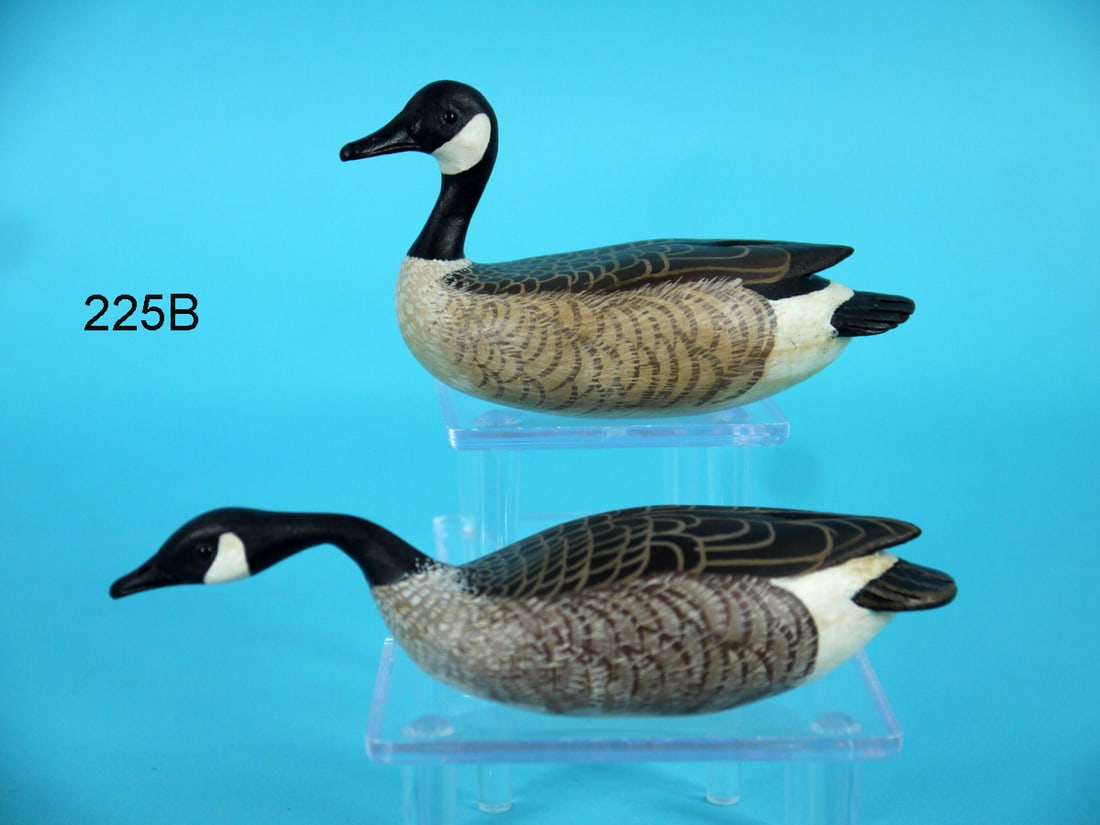 VERY FINE PAIR OF COCKTAIL SIZE CANADA GEESE, J. WOOD (1 of 4)