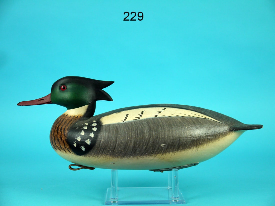 RED-BREASTED MERGANSER DRAKE , F.C. BROWN, JR. (1 of 4)