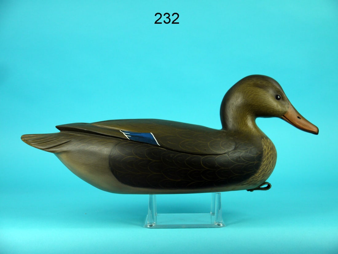 MALLARD HEN, C. FENNIMORE (1 of 4)