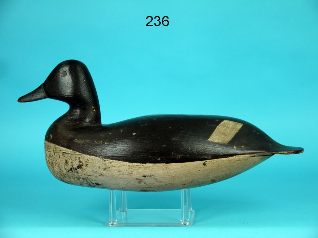 GOLDENEYE HEN, R. TRUEX (1 of 4)