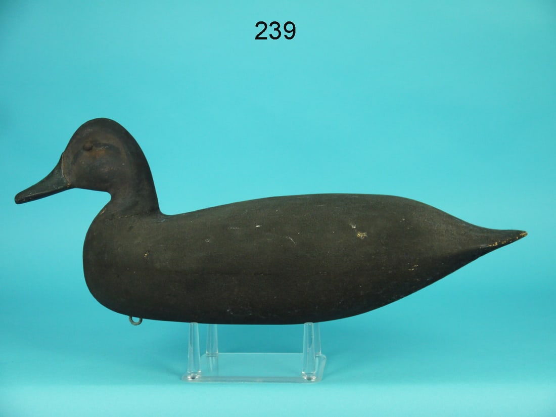 BLACK DUCK, H.M. SHOURDS (1 of 4)
