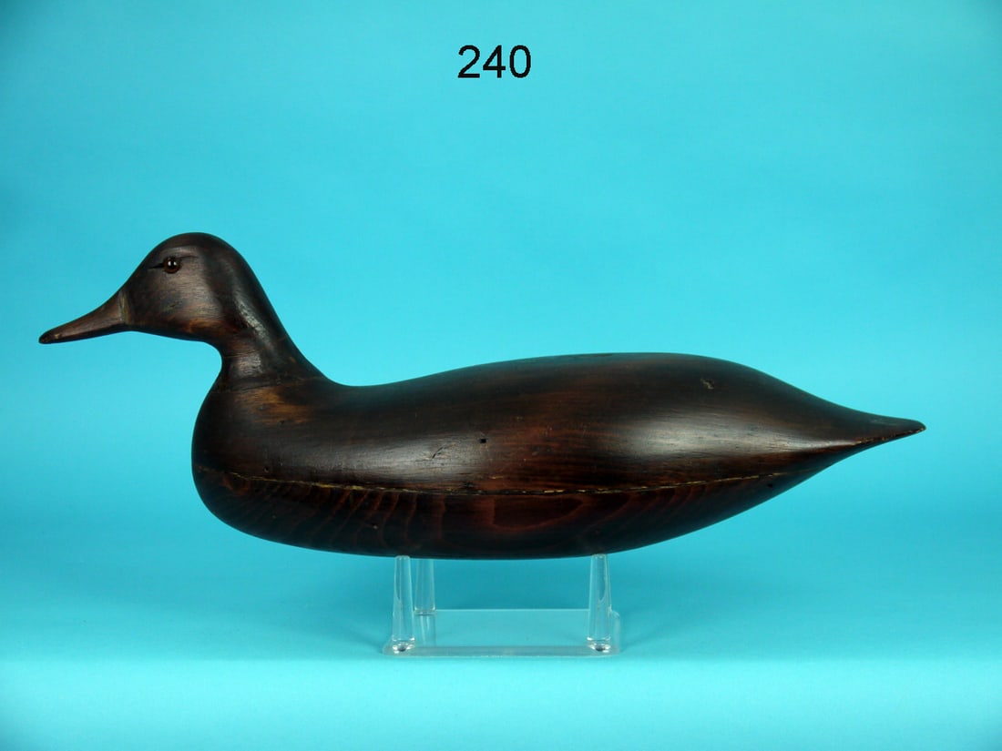 RARE BLACK DUCK, H.M. SHOURDS (1 of 4)