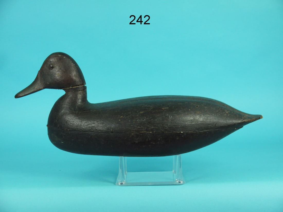 BLACK DUCK, H.M. SHOURDS (1 of 4)