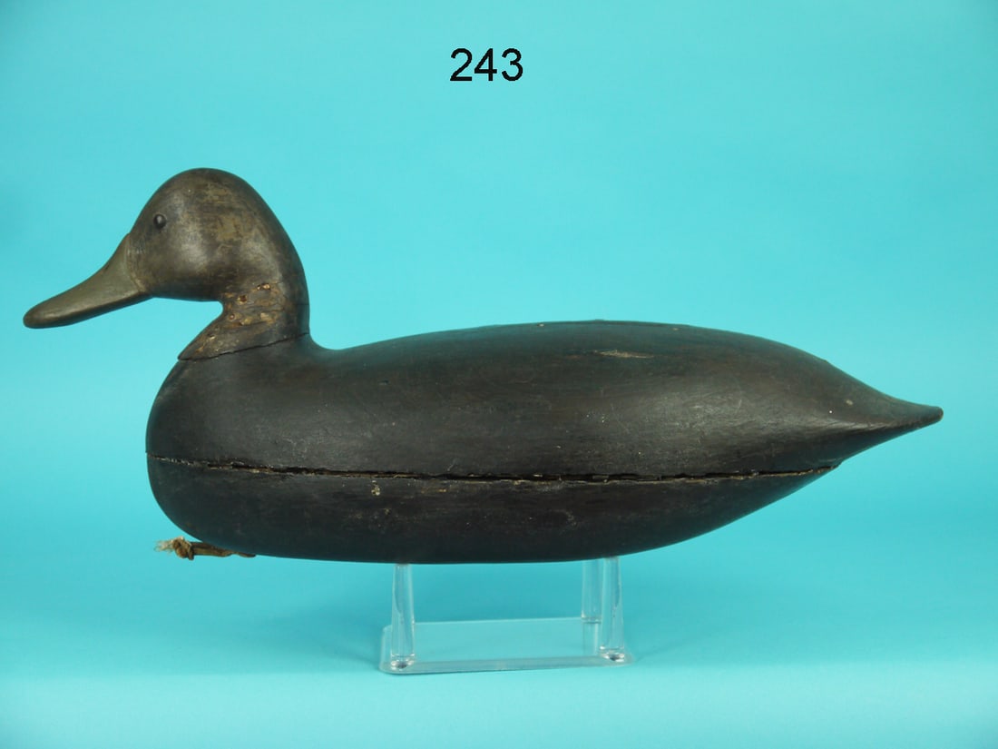 BLACK DUCK, H.V. SHOURDS (1 of 4)