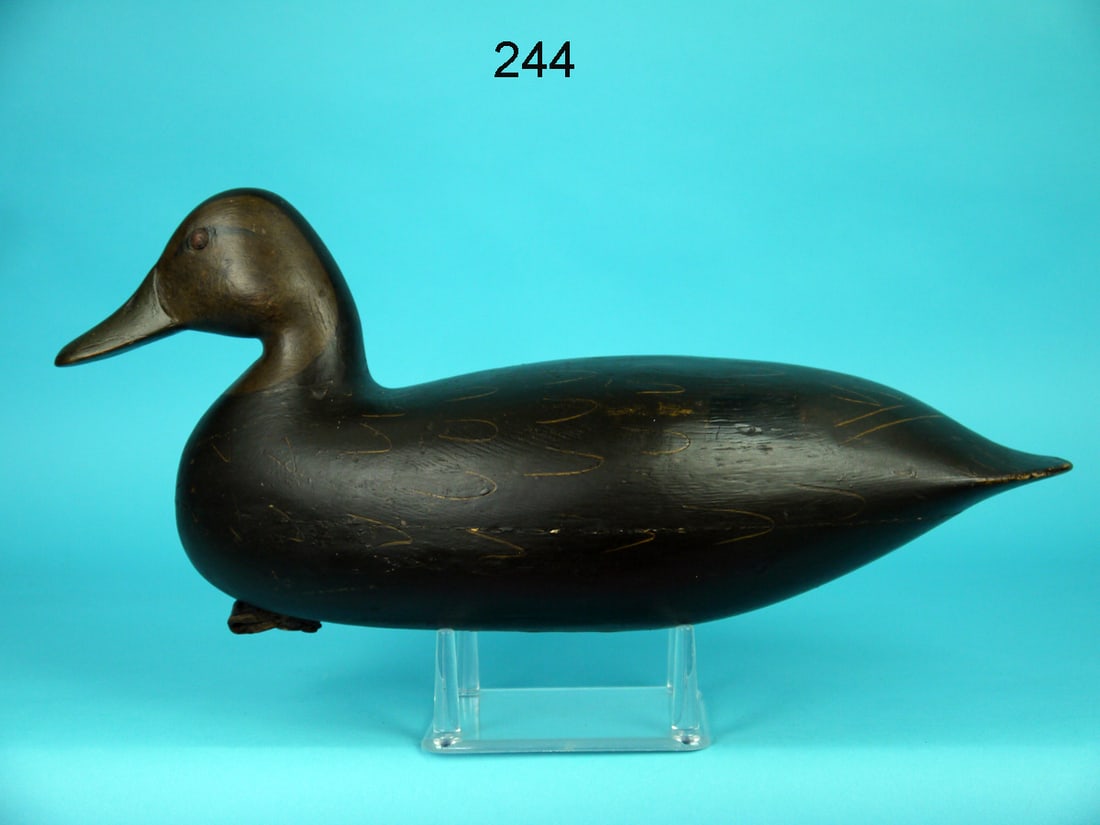 BLACK DUCK, H.V. SHOURDS (1 of 4)