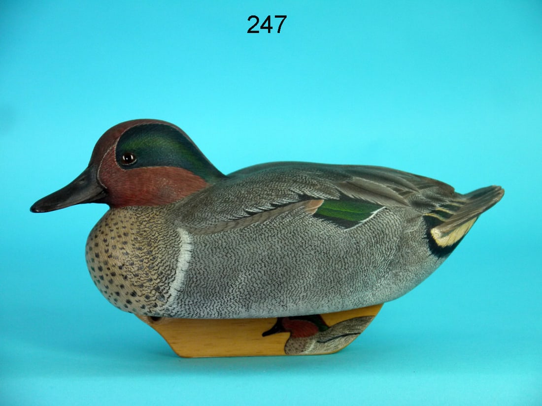 GREEN WING TEAL DRAKE, J. POLITE (1 of 6)