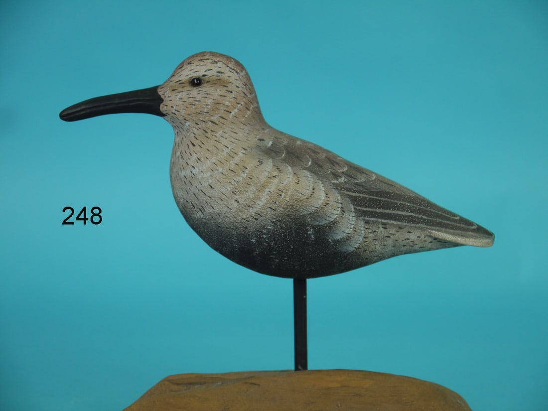 DUNLIN, R. DANOS: DUNLIN by Reagan Danos, Larose, LA. Excellent original paint and structural condition. Textured paint with detailed painted featherwork overall. Relief-carved wings and wing tips. Retains glass eyes. 
