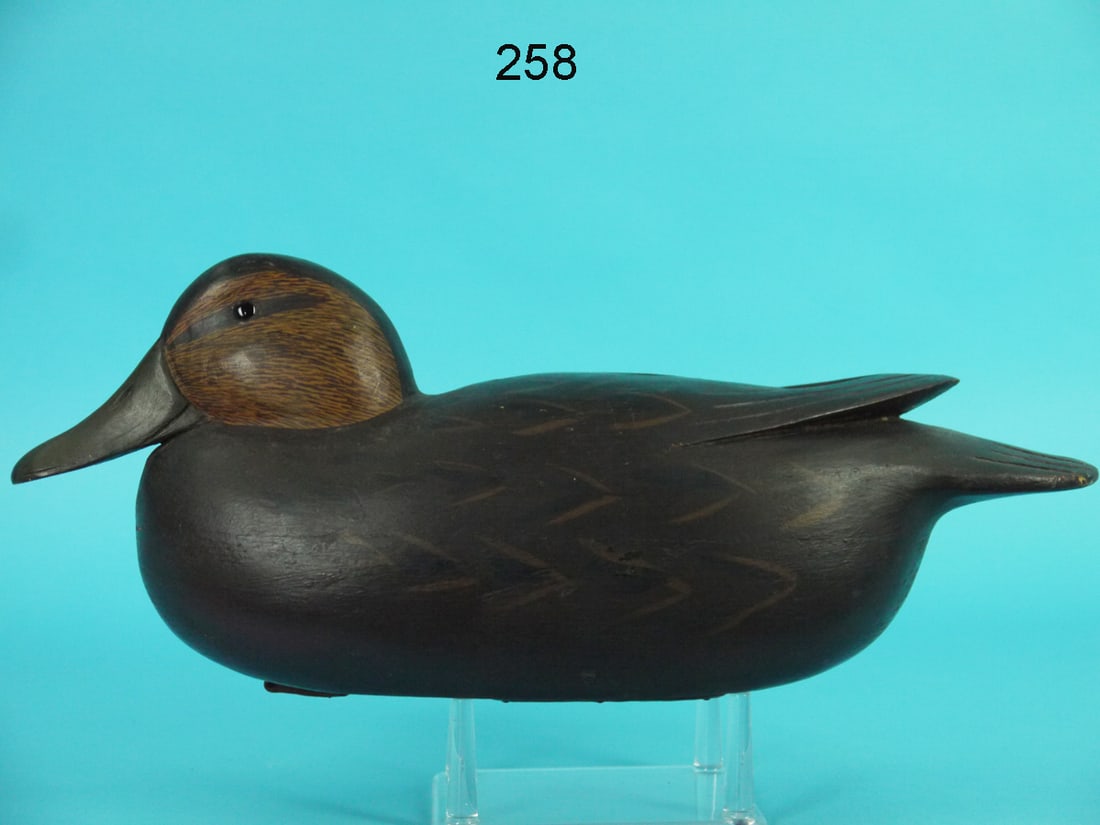 BLACK DUCK, H. MILLER (1 of 4)