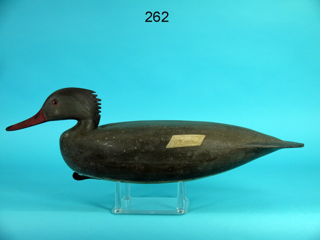 RED-BREASTER MERGANSER HEN, H. CONKLIN (1 of 4)