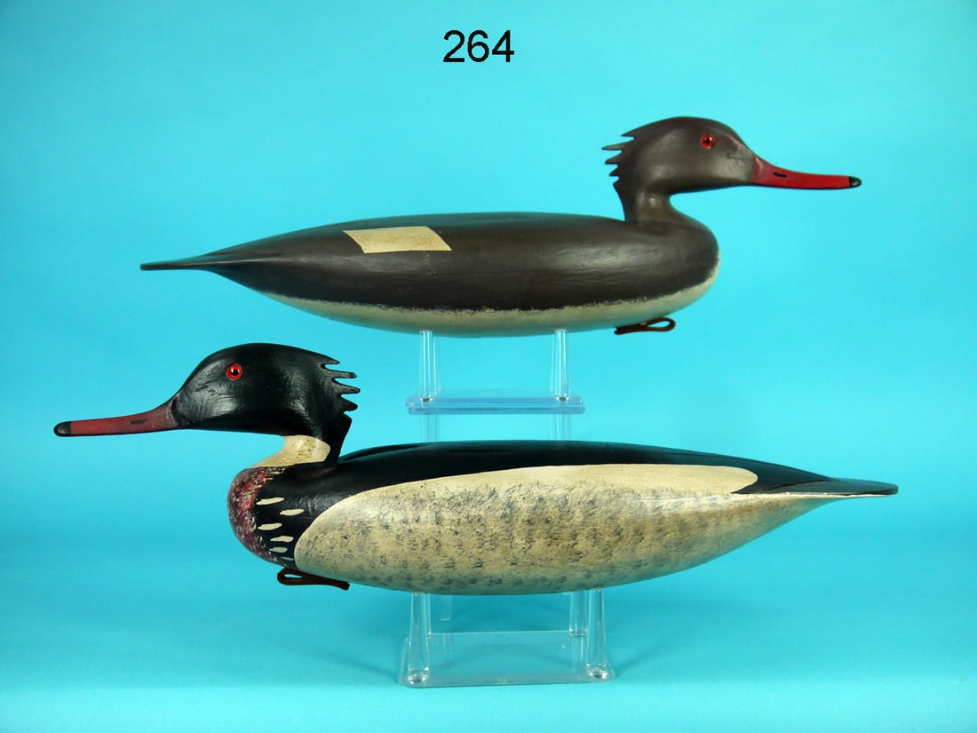 RED-BREASTED MERGANSER PAIR, H. CONKLIN (1 of 4)