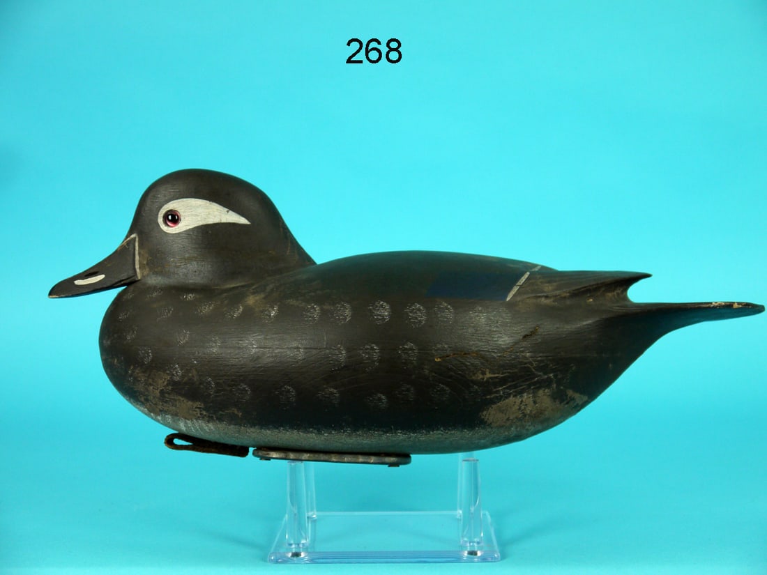 WOOD DUCK HEN, W. OLER (1 of 4)