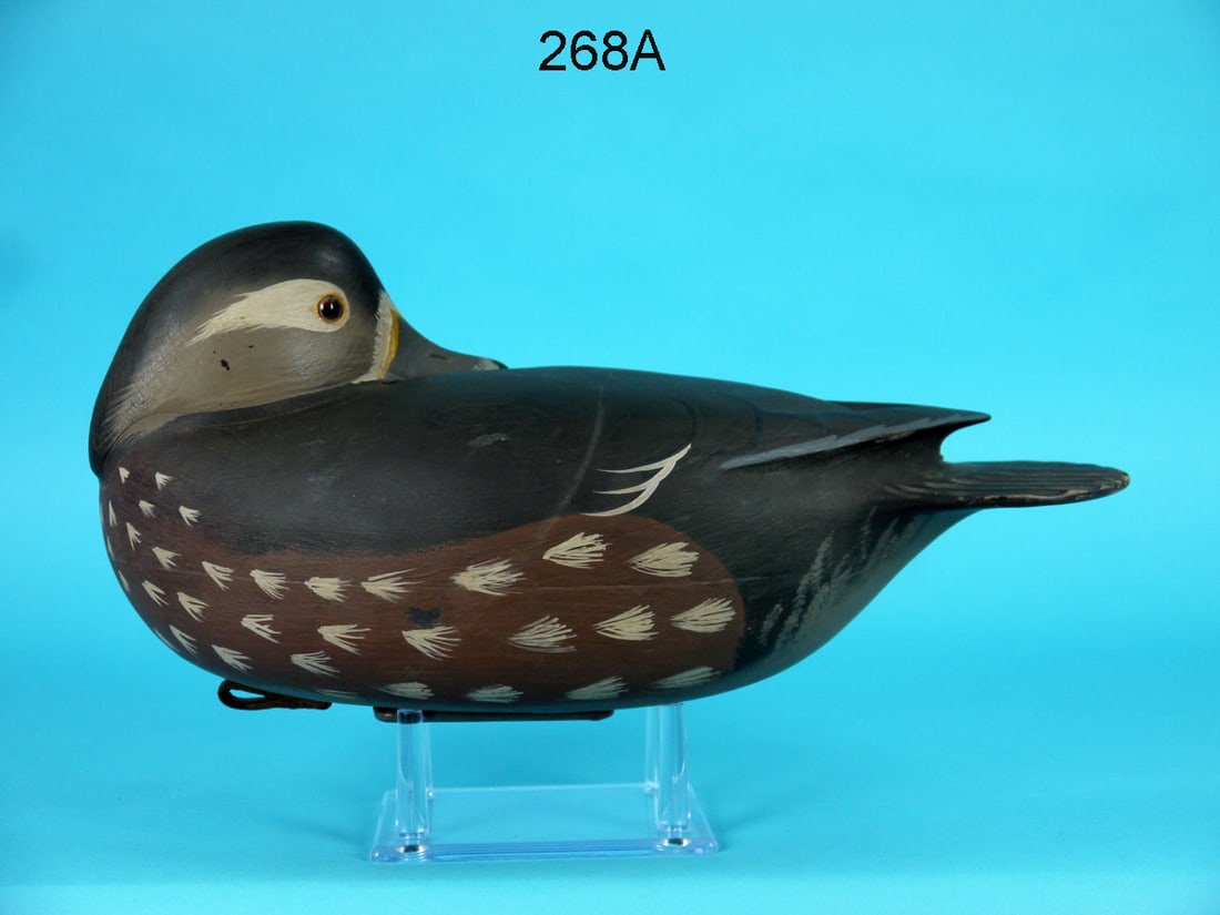 WOOD DUCK HEN, W. OLER (1 of 4)