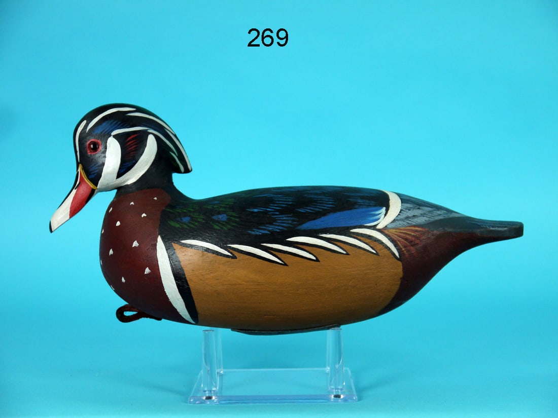 WOOD DUCK DRAKE, C. PITMAN (1 of 4)