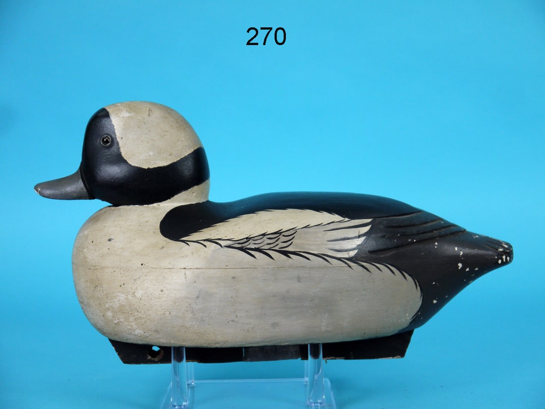 BUFFLEHEAD DRAKE, C. PITMAN (1 of 4)