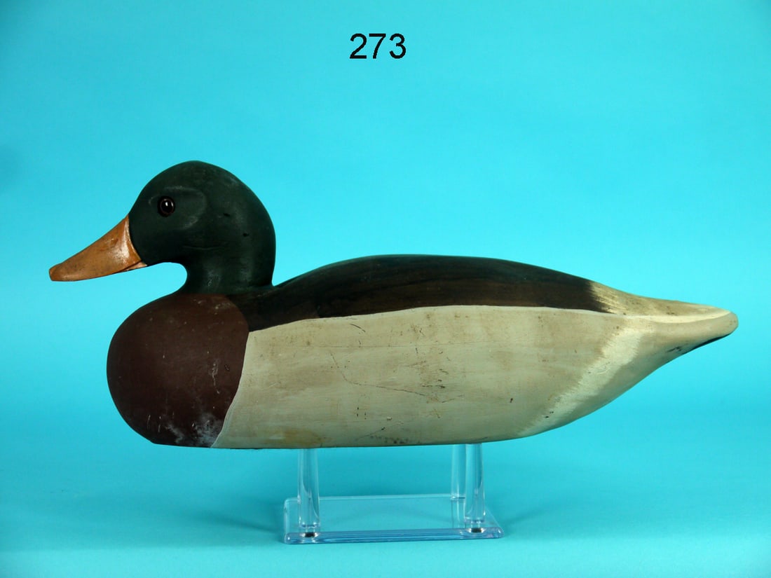 MALLARD DRAKE, J. REVELLO (1 of 4)