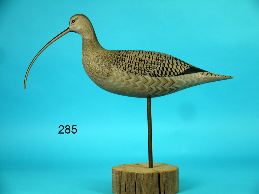 LONG-BILLED CURLEW, C.R. MARTER, JR. (1 of 2)