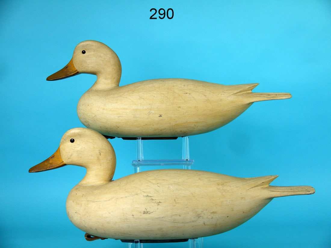 TWO FARM DUCKS, P. SABATINI (1 of 4)