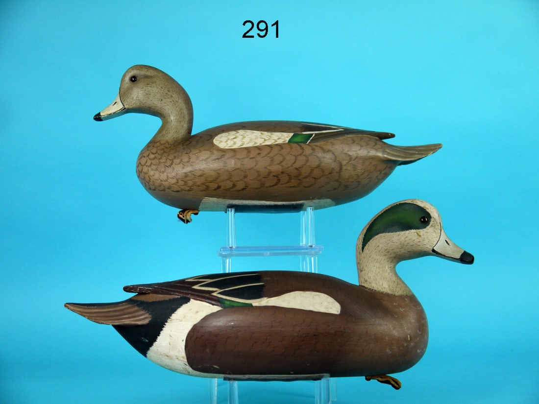 WIGEON PAIR, R. SABATINI (1 of 4)