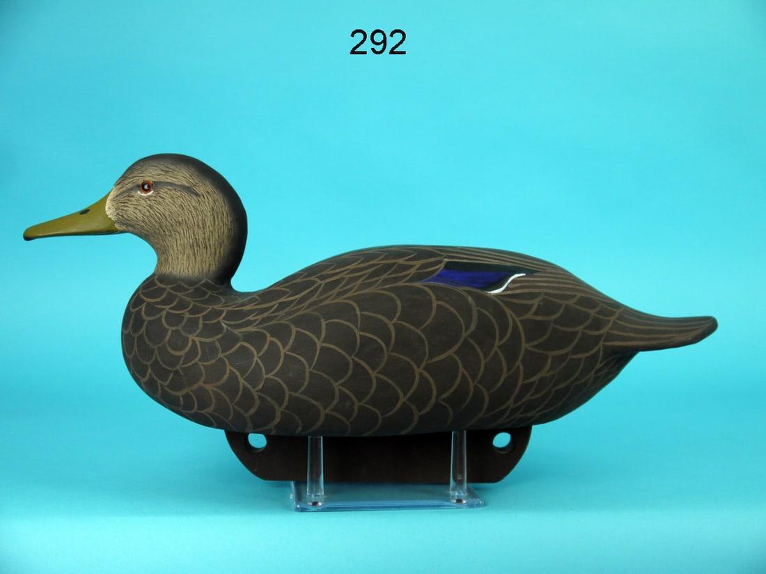 BLACK DUCK, R. BELOTE (1 of 4)