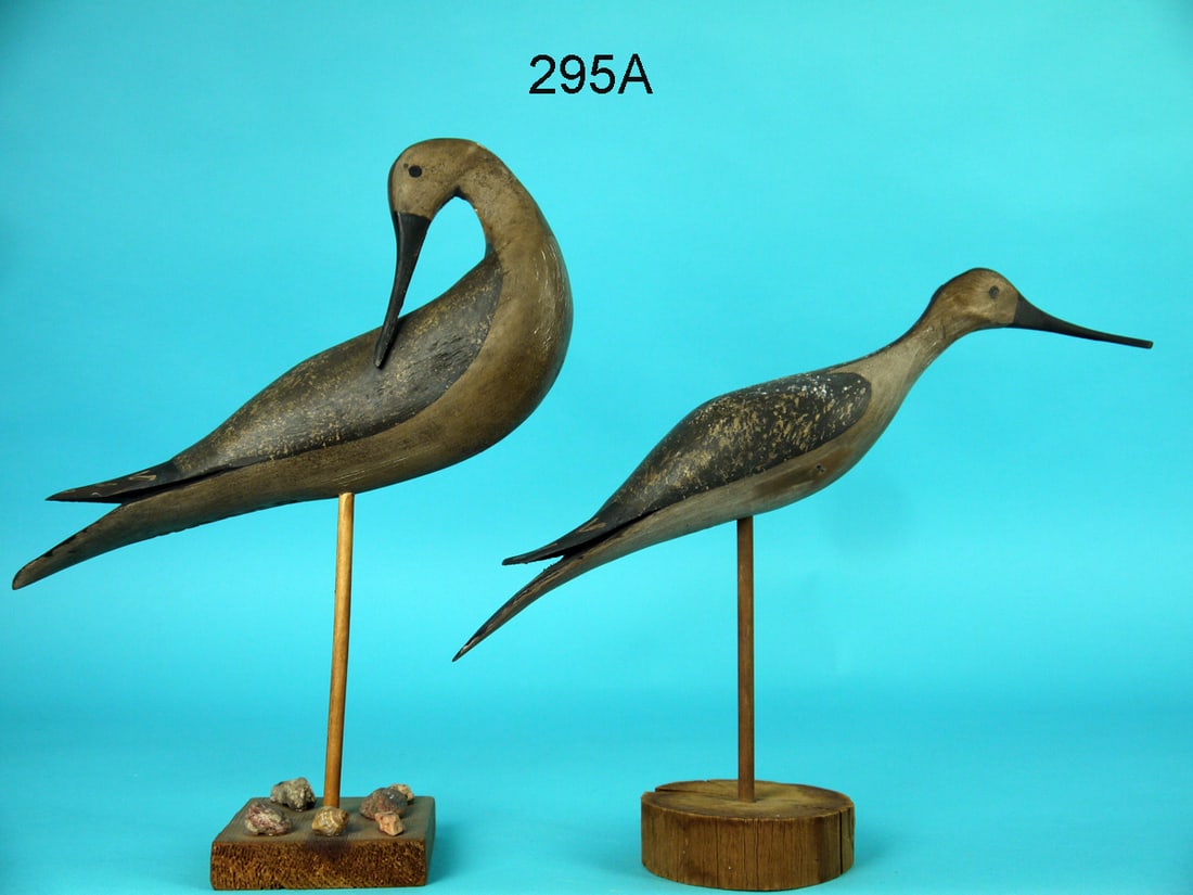 TWO YELLOWLEGS, B. BIEBER (1 of 2)