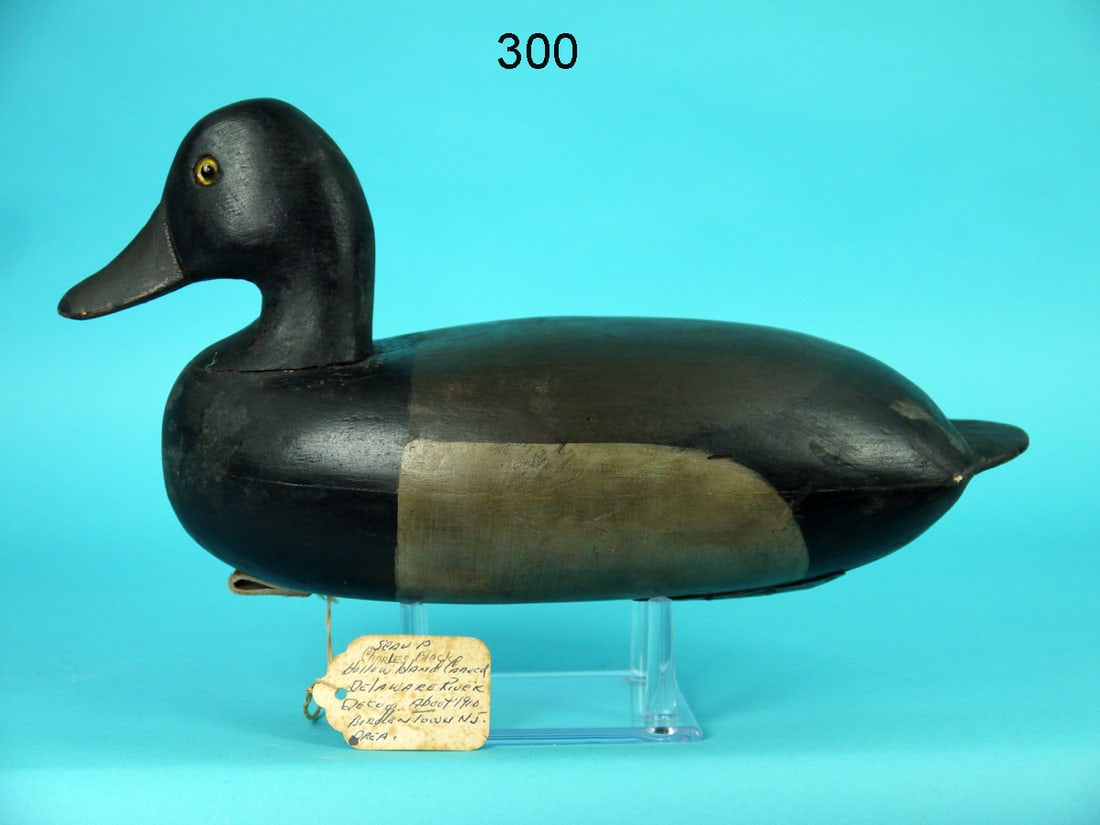 BROADBILL DRAKE, BORDENTOWN, NJ (1 of 4)