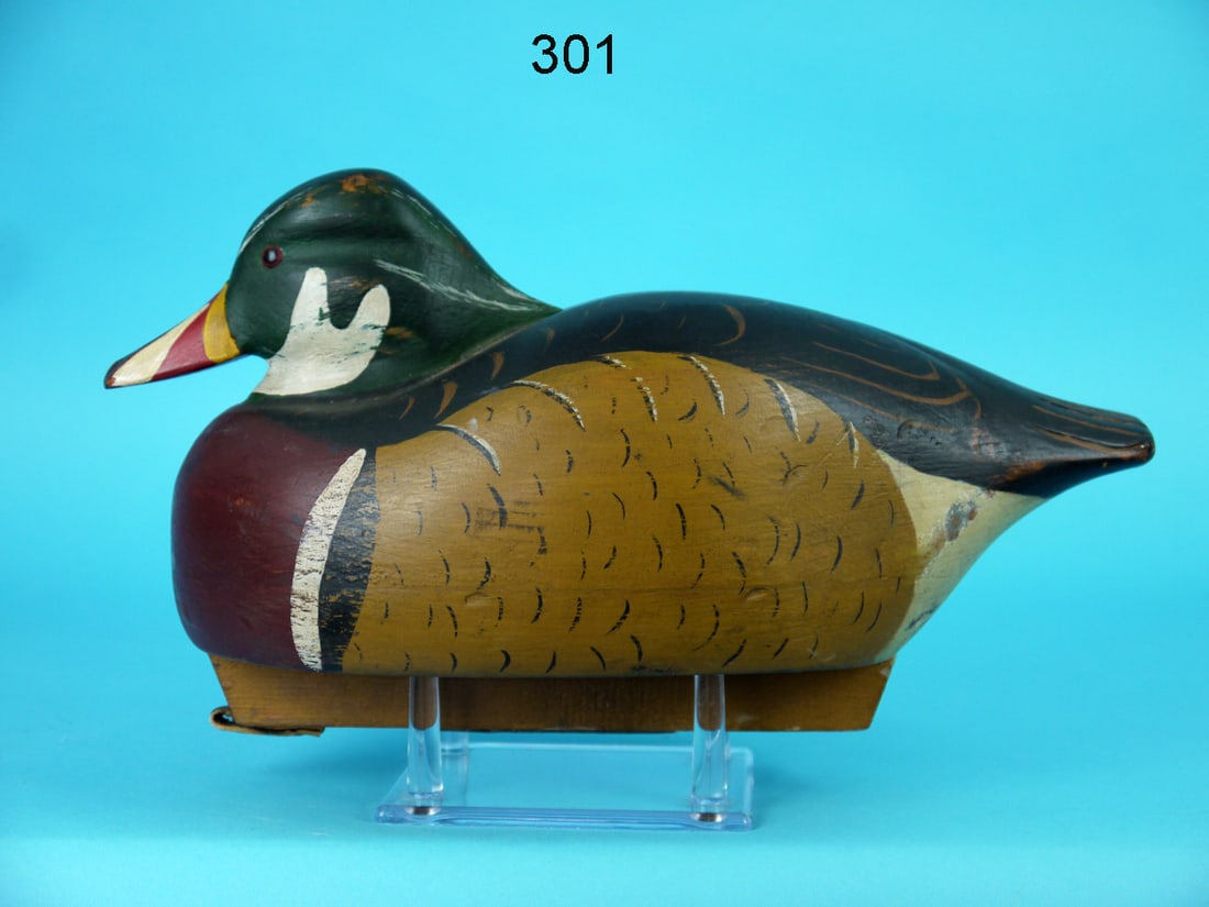 WOOD DUCK DRAKE, DELAWARE RIVER (1 of 4)