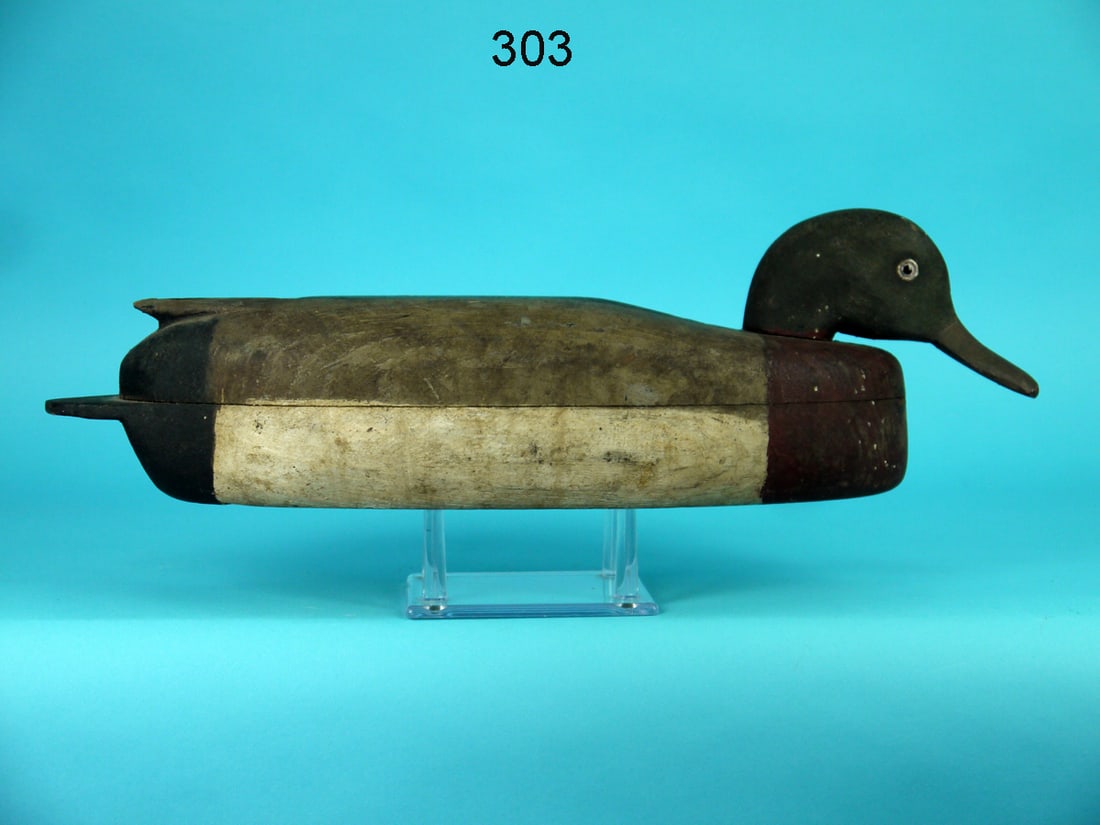 MALLARD DRAKE, DELAWARE RIVER (1 of 4)