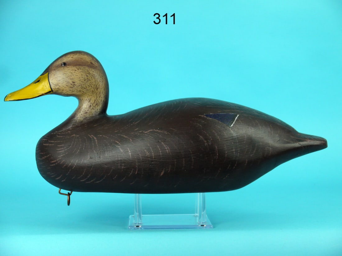 BLACK DUCK, C.E. HUTSON (1 of 4)