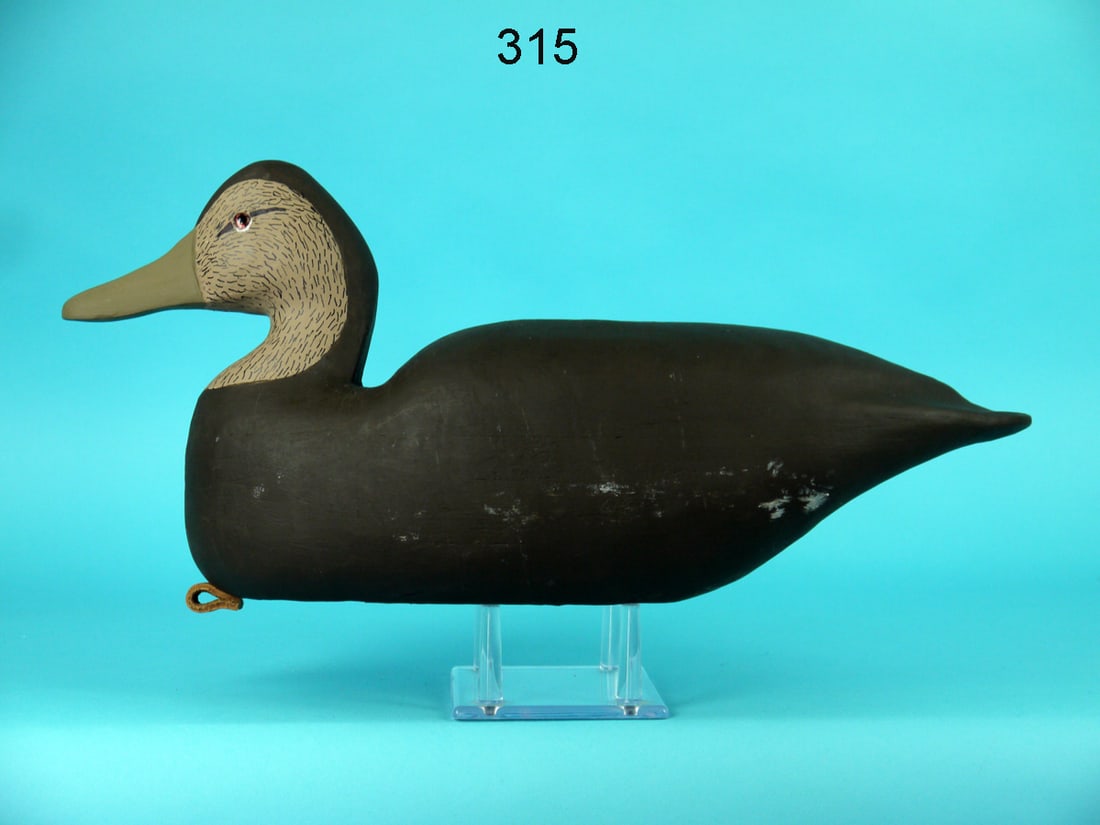 BLACK DUCK, M. KING (1 of 4)