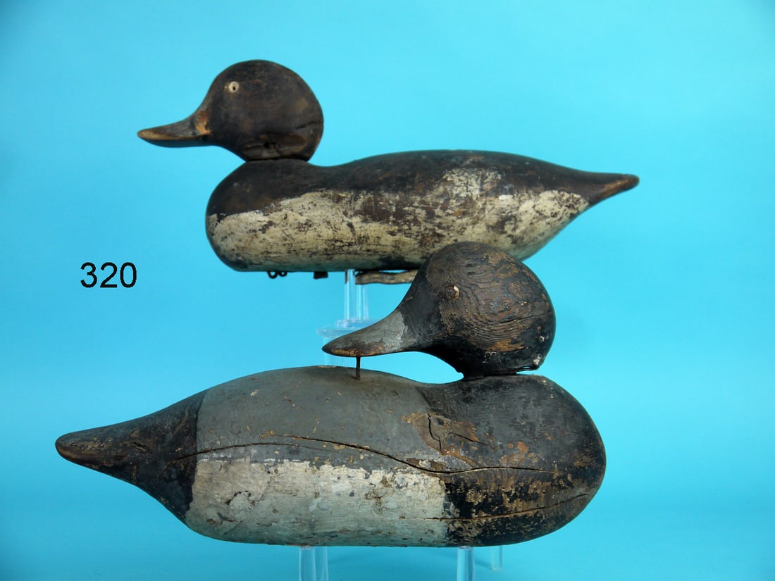 TWO BROADBILLS, MASON (1 of 4)