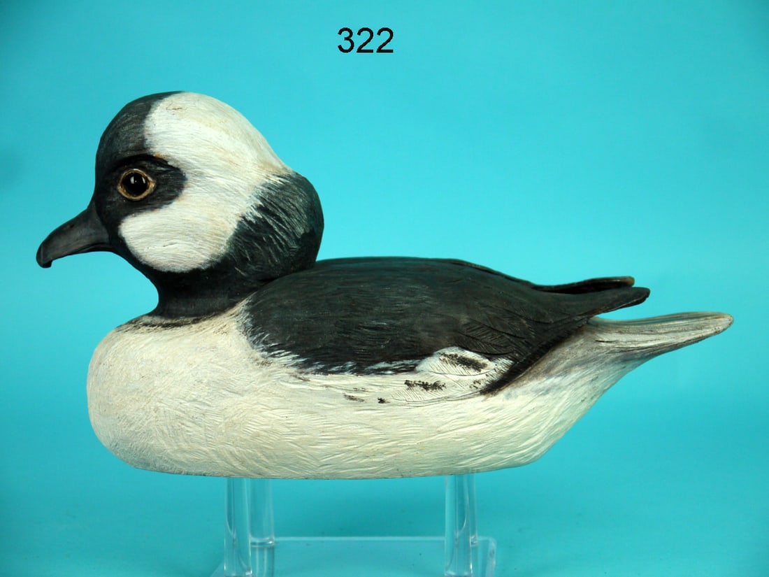 BUFFLEHEAD DRAKE, H. BENNETT (1 of 4)