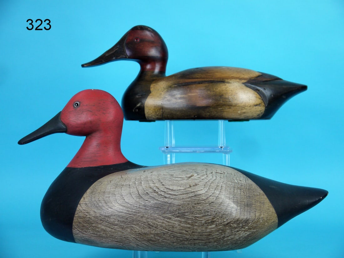 TWO CANVASBACK DRAKES (1 of 4)