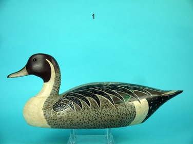 PINTAIL DRAKE, WILDFOWLER