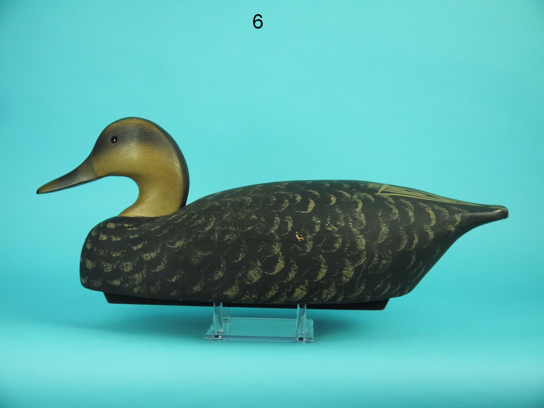 BLACK DUCK, WILDFOWLER (1 of 4)