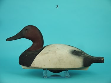 CANVASBACK DRAKE, WILDFOWLER