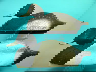 BROADBILL PAIR, WILDFOWLER