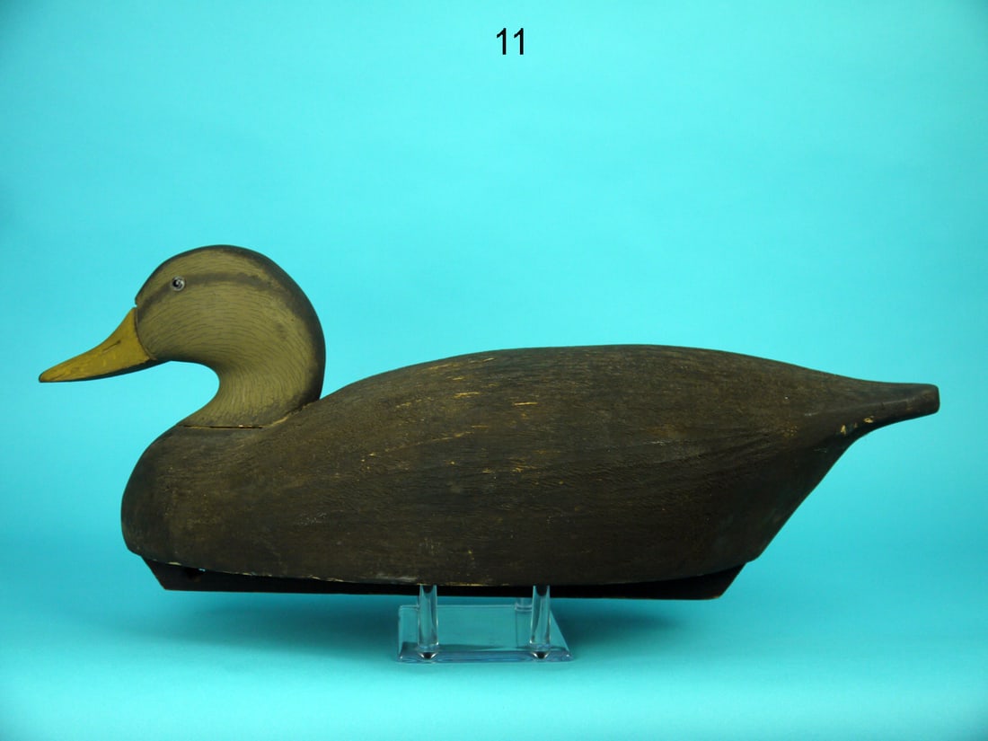 BLACK DUCK, WILDFOWLER (1 of 4)
