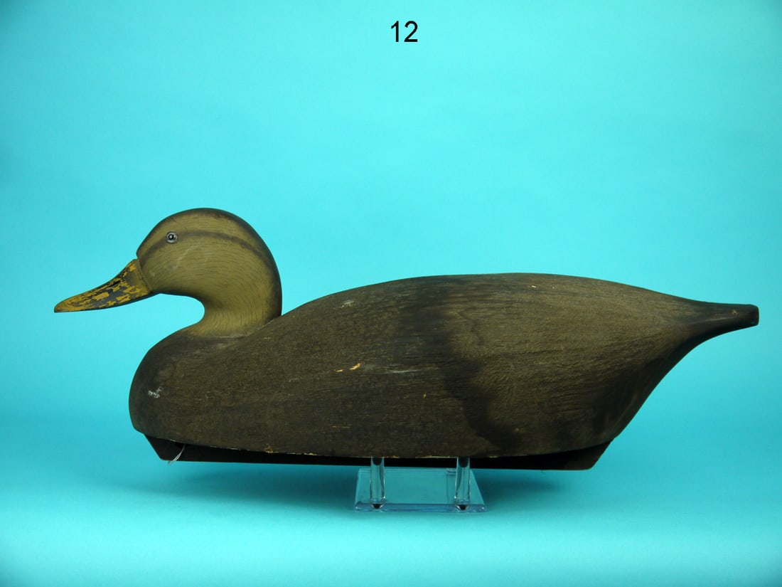 BLACK DUCK, WILDFOWLER (1 of 4)