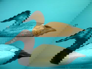 CANVASBACK PAIR, WILDFOWLER