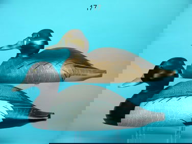 BROADBILL PAIR, WILDFOWLER