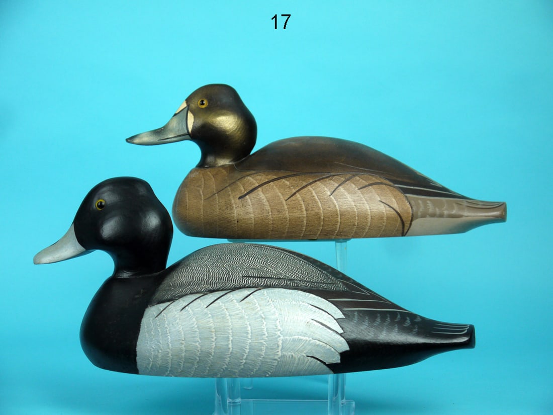 BROADBILL PAIR, WILDFOWLER (1 of 4)