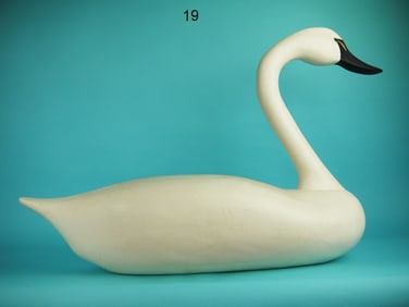 SWAN, WILDFOWLER