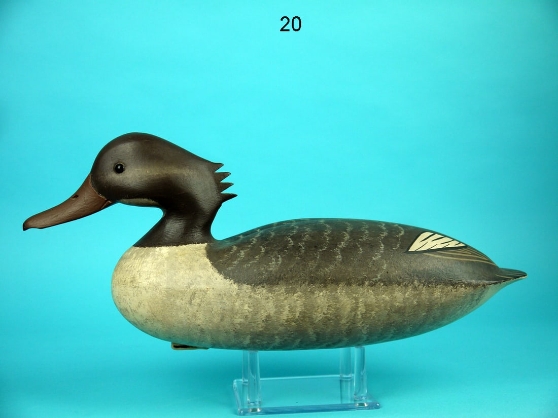 RED-BREASTED MERGANSER HEN, C. BIRDSALL (1 of 4)