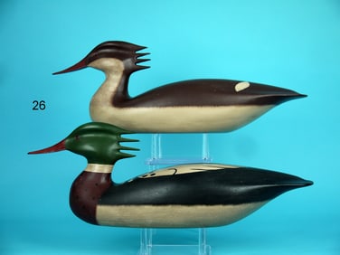RED-BREASTED MERGANSER PAIR, C. ALLSOPP