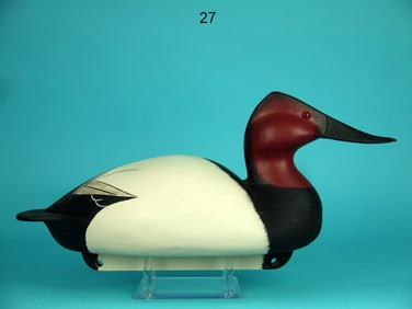 CANVASBACK DRAKE, C. ALLSOPP