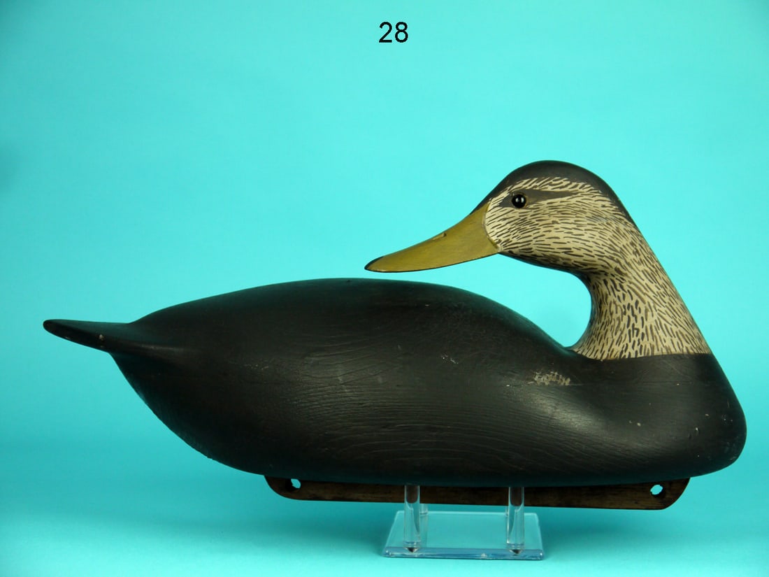 BLACK DUCK, C. ALLSOPP (1 of 4)