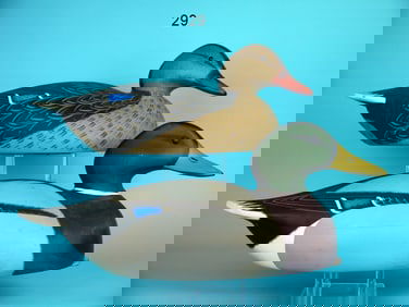 MALLARD PAIR, A. BIRDSALL