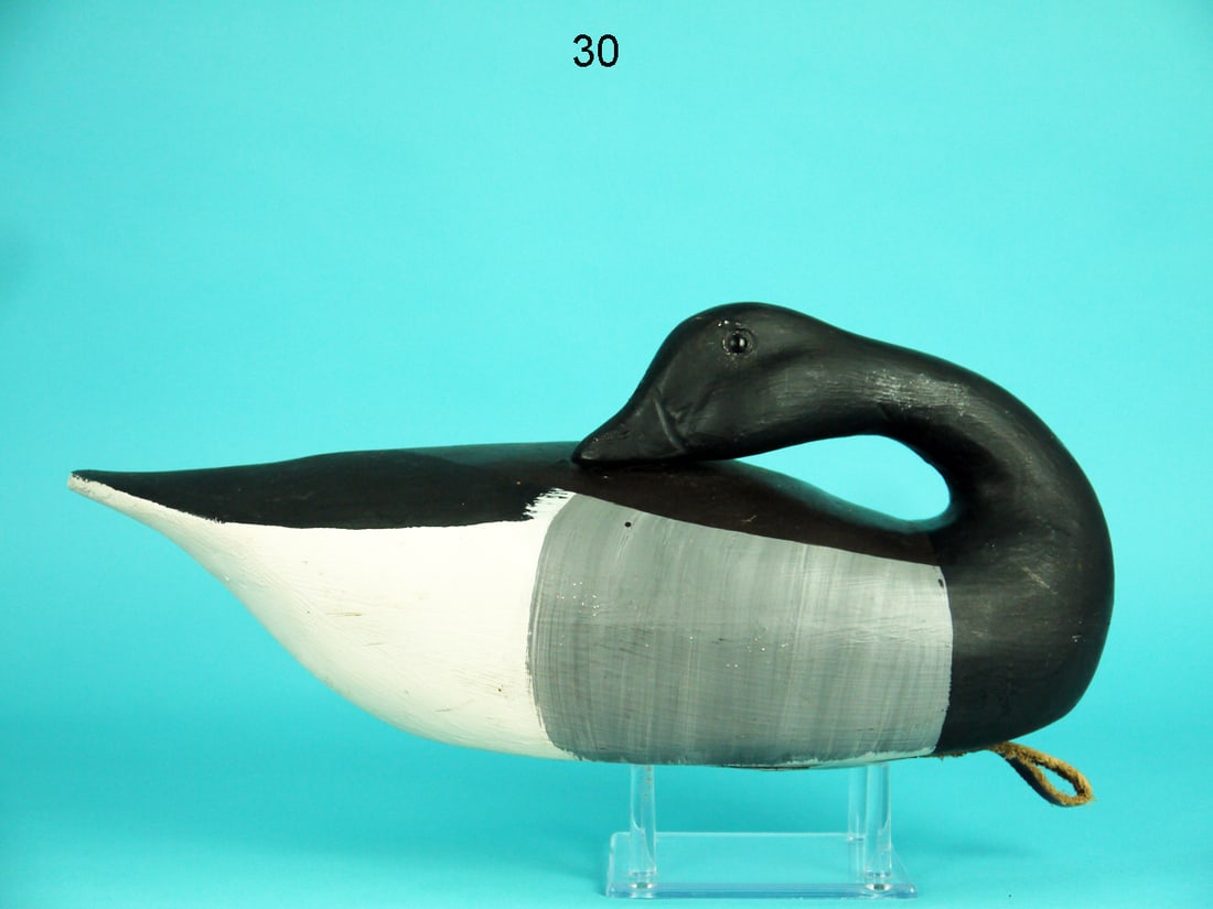 PREENING BRANT, A. BIRDSALL (1 of 4)